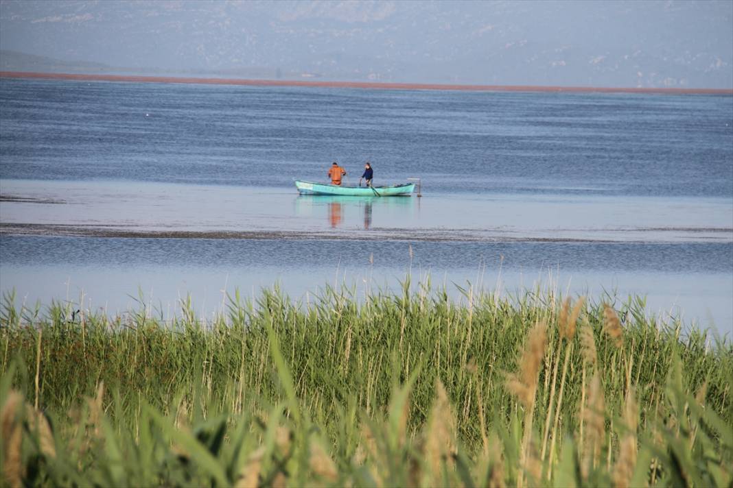 Sezon açıldı, Konya’da avcıların yüzü gülüyor 13